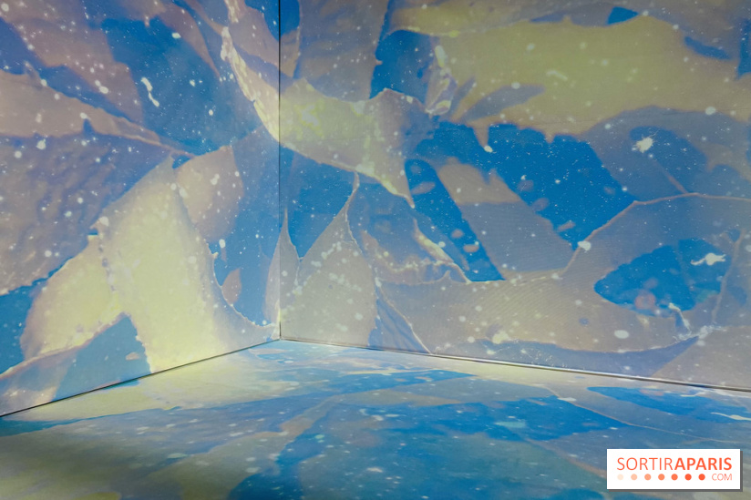 Topologie de l’Eau : Roches, Plantes et Vent - IMG 3252