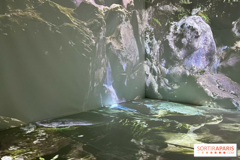 Topologie de l’Eau : Roches, Plantes et Vent