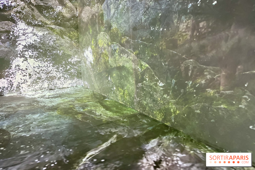 Topologie de l’Eau : Roches, Plantes et Vent