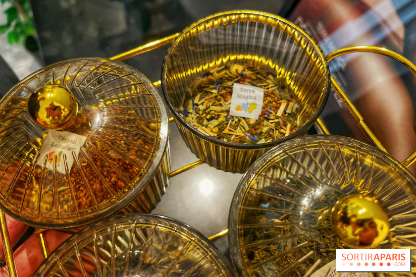 Hôtel et spa Belmont - IMG 3129