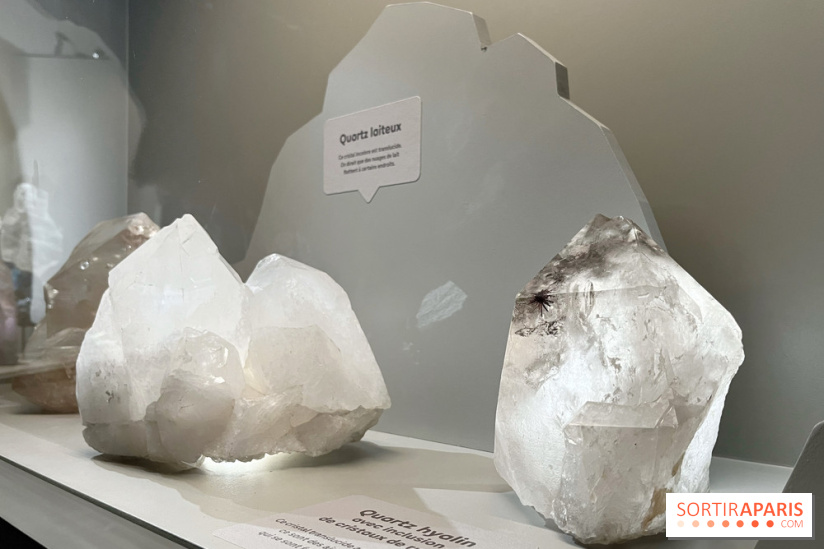 Transparence au Palais des enfants - nos photos - 80F0658F 4B6A 4B30 972F A93D2E0BA33E