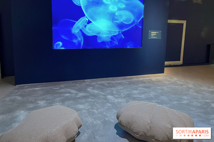 Transparence au Palais des enfants - nos photos - A9C8FEA1 98EA 4475 B97F A6EDF86F4C96