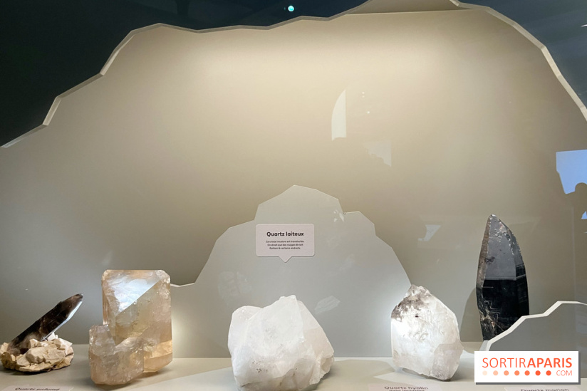 Transparence au Palais des enfants - nos photos - A6B826E2 B80F 4301 9DF2 02FE493C6560