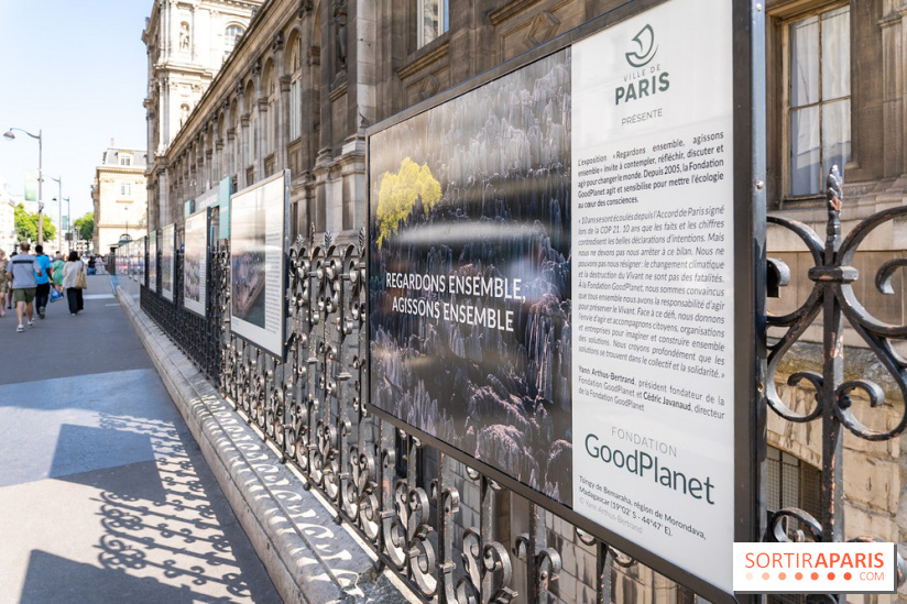 Hôtel de Ville - De Paris à Belem - Forêt Urbaine - Obey  - A7C03050