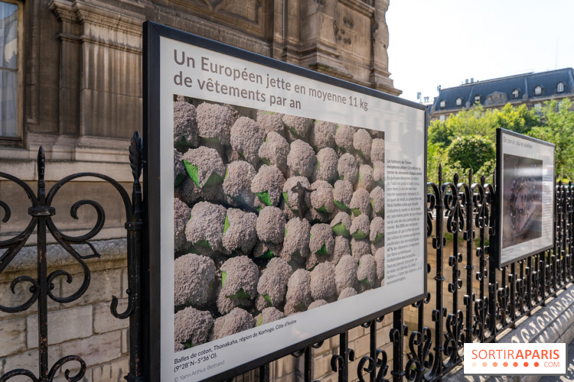 Hôtel de Ville - De Paris à Belem - Forêt Urbaine - Obey  - A7C03051