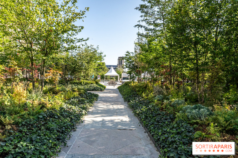 Hôtel de Ville - De Paris à Belem - Forêt Urbaine - Obey  - A7C03314