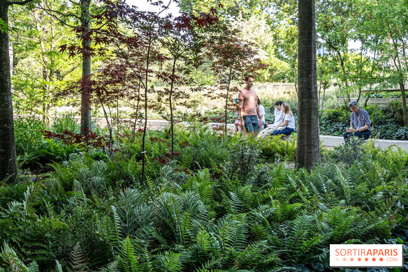 Hôtel de Ville - De Paris à Belem - Forêt Urbaine - Obey  - A7C03326