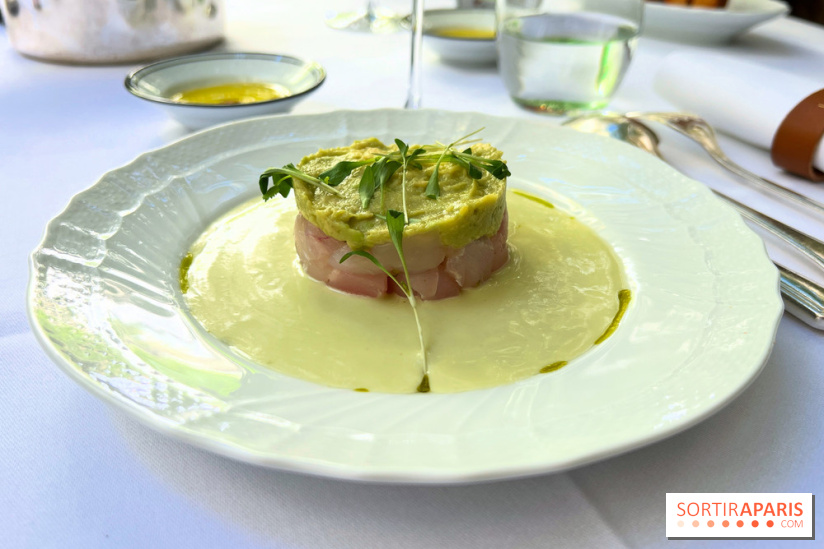 Patio terrasse La Réserve Paris - Ceviche de daurade