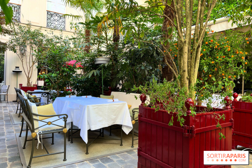 Patio terrasse La Réserve Paris - Terrasse