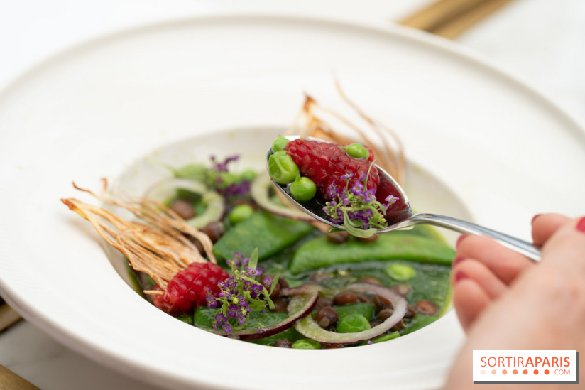 Maison Delano restaurant et terrasse cachée Paris 8e - Jardin des pois