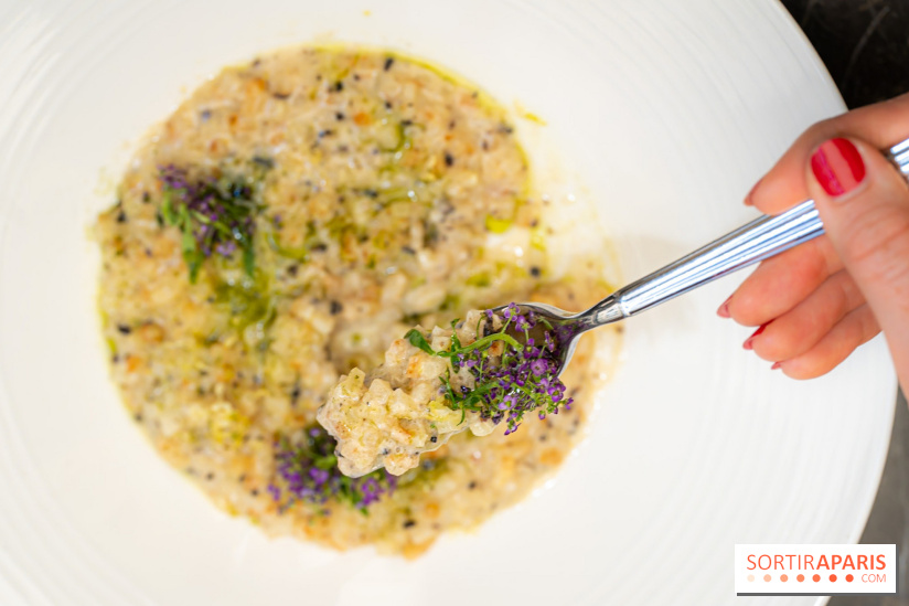 Maison Delano restaurant et terrasse cachée Paris 8e - céleri façon risotto