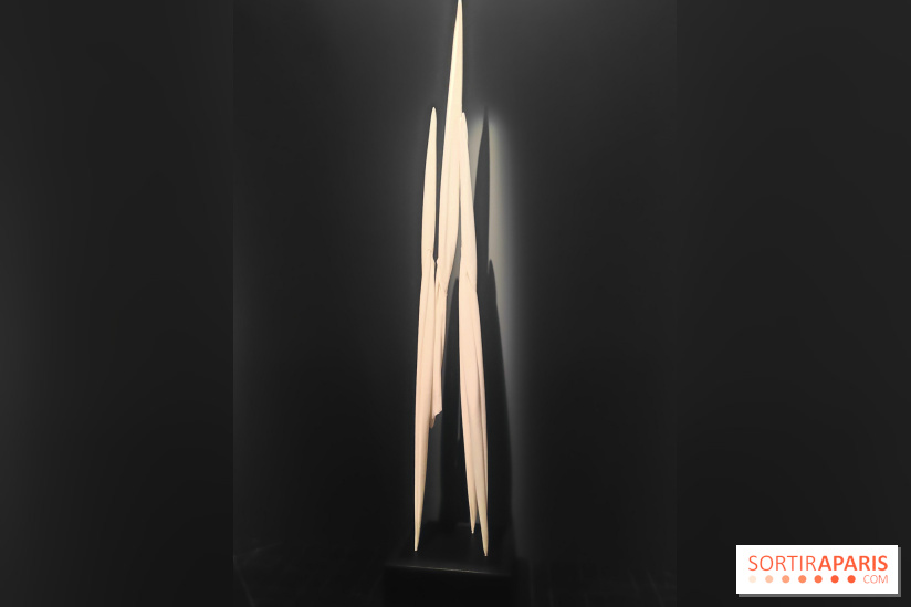 Les sept sens célestes : l'exposition qui mélange les genres et les époques à l'Hôtel de la Marine - fotor 1750928970043