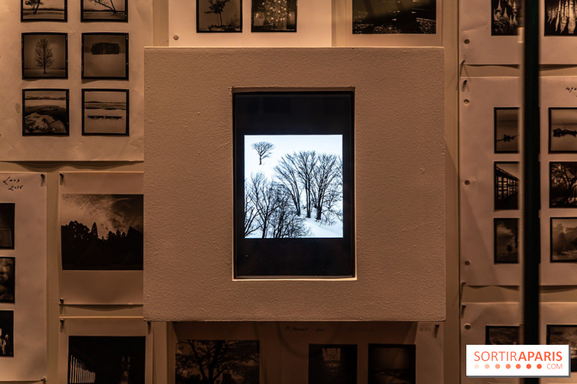 Exposition Haïkus d’argent, l’Asie photographiée par Michael Kenna au MuséeGuimet, les photos