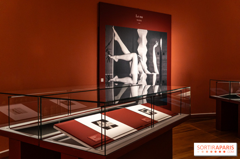 Exposition Haïkus d’argent, l’Asie photographiée par Michael Kenna au MuséeGuimet, les photos - A7C02214