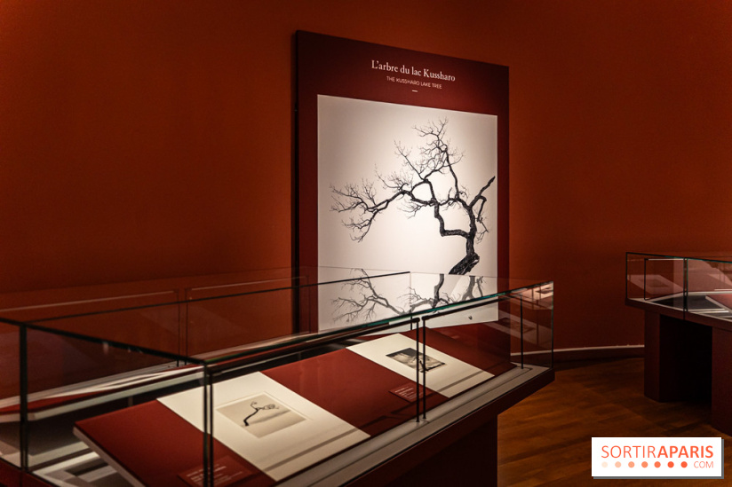 Exposition Haïkus d’argent, l’Asie photographiée par Michael Kenna au MuséeGuimet, les photos - A7C02215