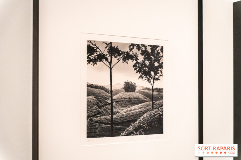 Exposition Haïkus d’argent, l’Asie photographiée par Michael Kenna au MuséeGuimet, les photos