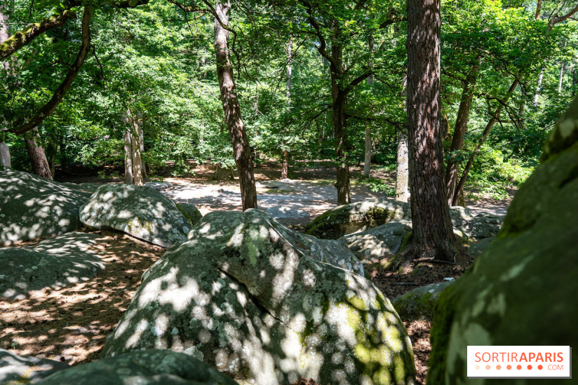 La Folie Barbizon, l'hôtel et restaurant renait entre art et nature - les photos  - A7C03869