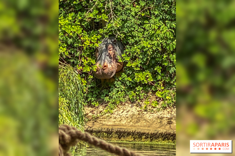 Adventure Boat : l’expérience immersive sur un bateau à Nogent-sur-Marne - IMG 6611