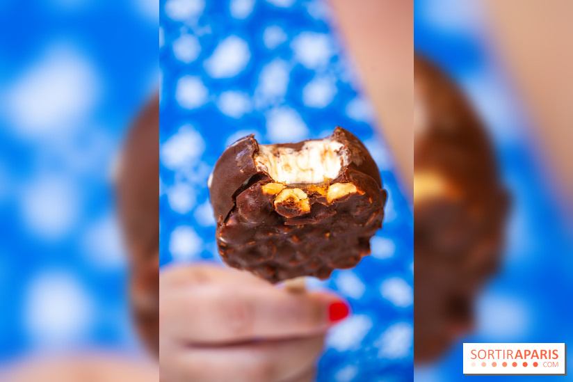 Les bouchées glacées de la Chocolaterie William Artigue, les esquimaux gourmands