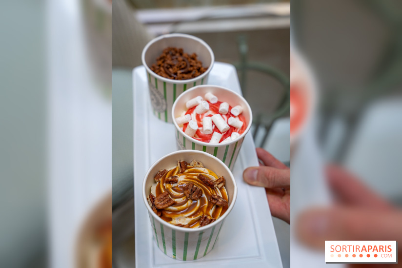 Les glaces gourmandes de l'Épicerie du Bristol - les photos