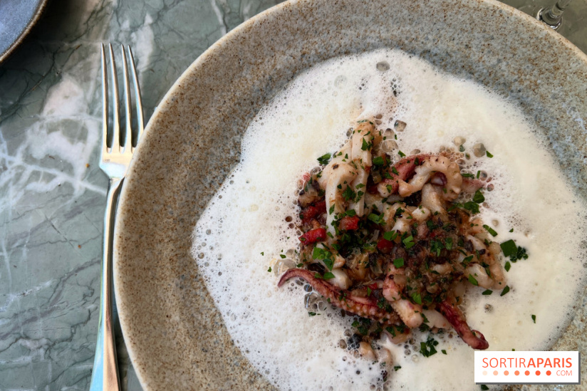 Divellec - Encornets en persillade, chorizo