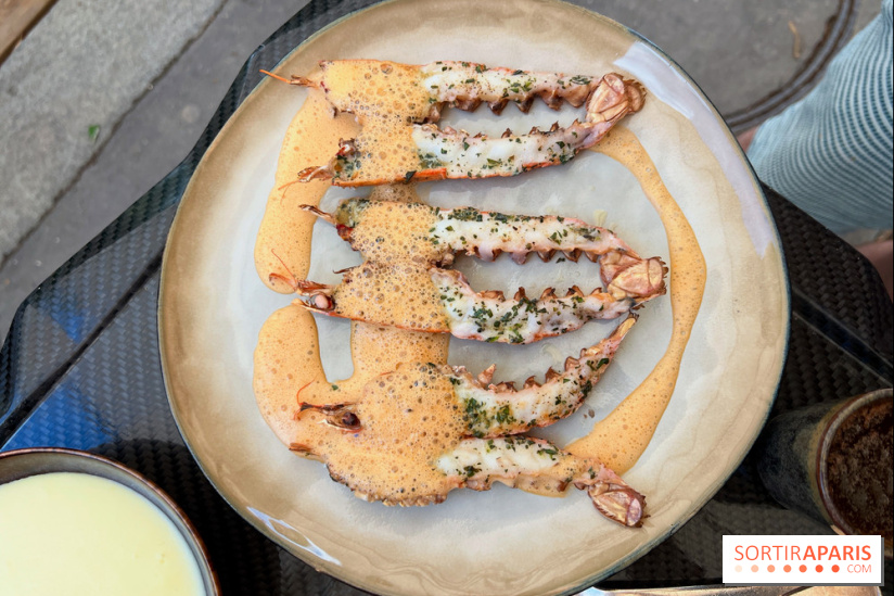 Divellec - Langoustines grillées