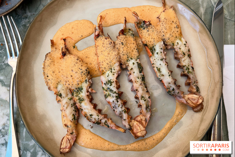 Divellec - Langoustines grillées