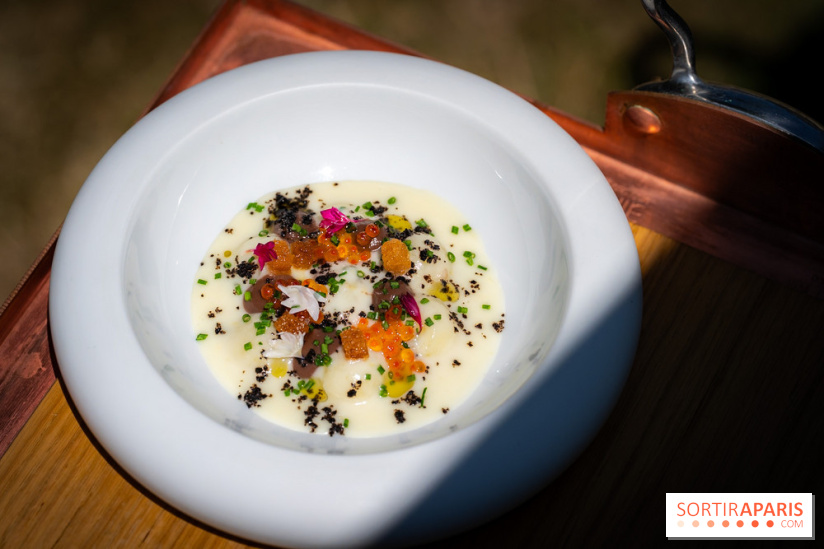 Restaurant Papylles à Bois-le-Roi - les photos - La pomme de terre nouvelles de Julien Favry Velouté Vichyssoise, œufs de truite fumée, olives noires