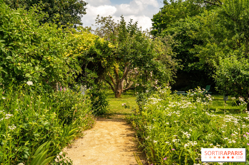 Le Musée Stéphane Mallarmé - 77 - les photos - A7C02489
