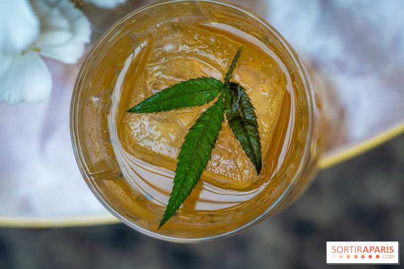 Frivole, restaurant festif, bar et terrasse cachée à Paris, les photos - A7C04326