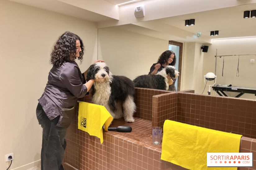 The Dogry - IMG 3595