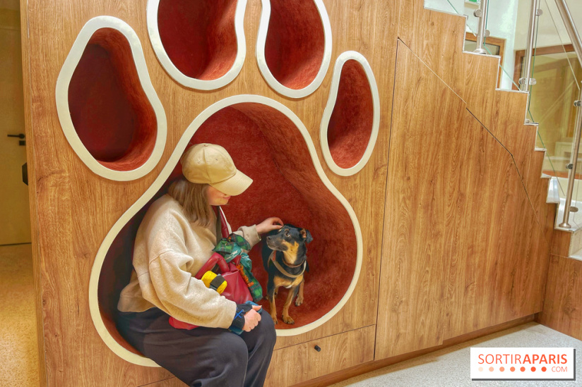 The Dogry - IMG 3596