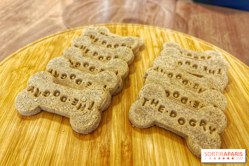 The Dogry - IMG 3599