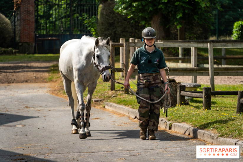 Visite guidée de l'École Mlitaire d'Équitation