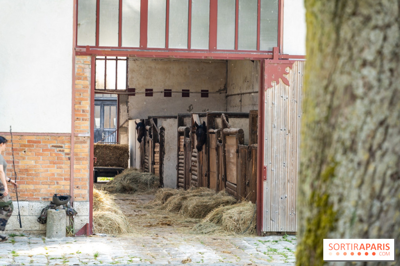 Visite guidée de l'École Mlitaire d'Équitation