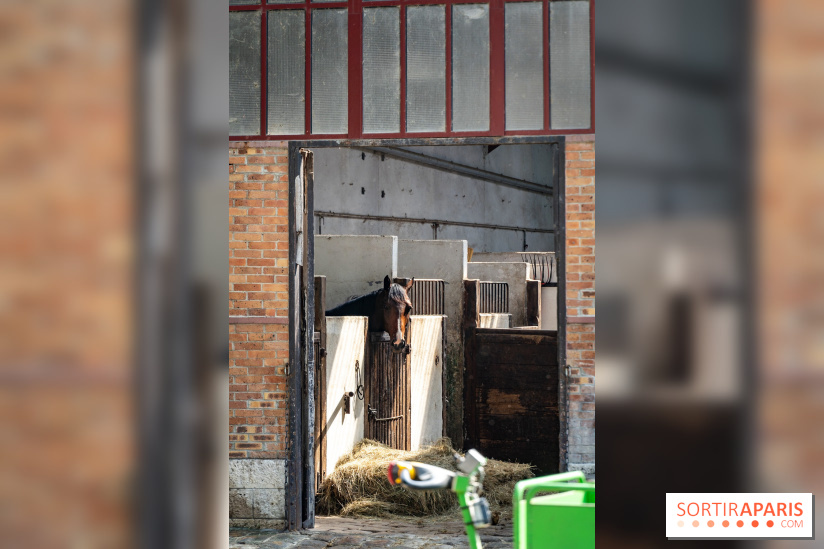Visite guidée de l'École Mlitaire d'Équitation