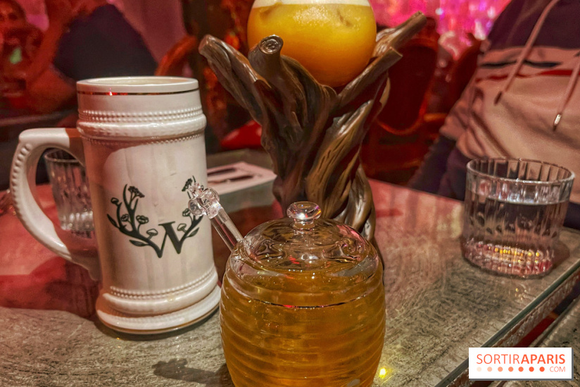 Wonderwoods - IMG 3695