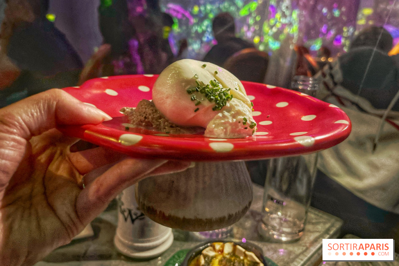 Wonderwoods - IMG 3707