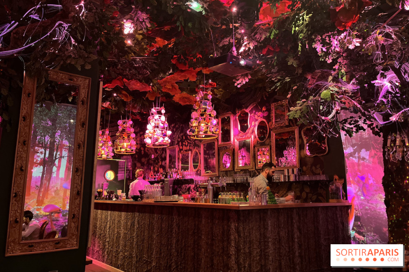 Wonderwoods