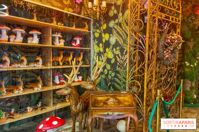 Wonderwoods - IMG 3742