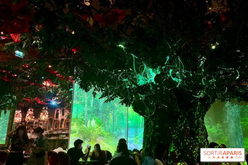 Wonderwoods