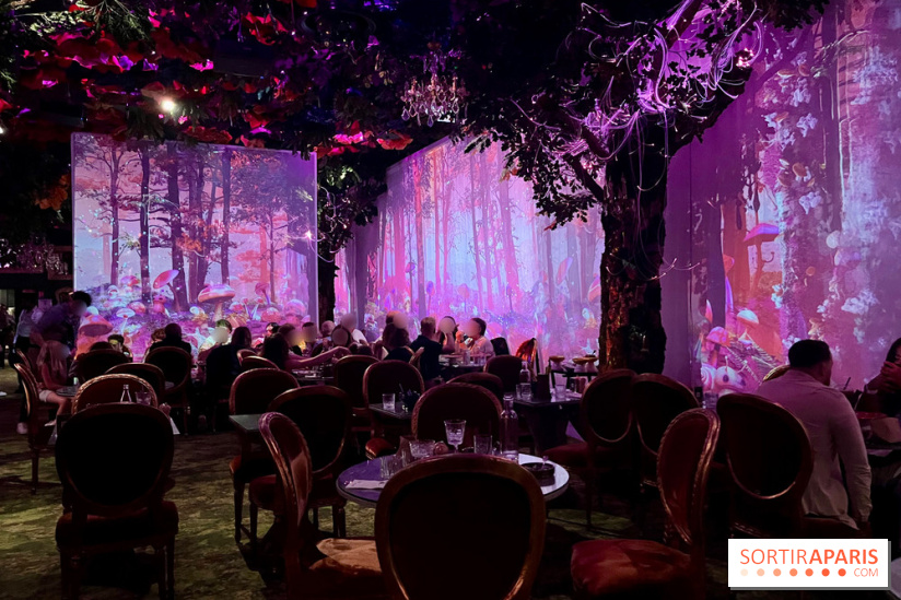 Wonderwoods