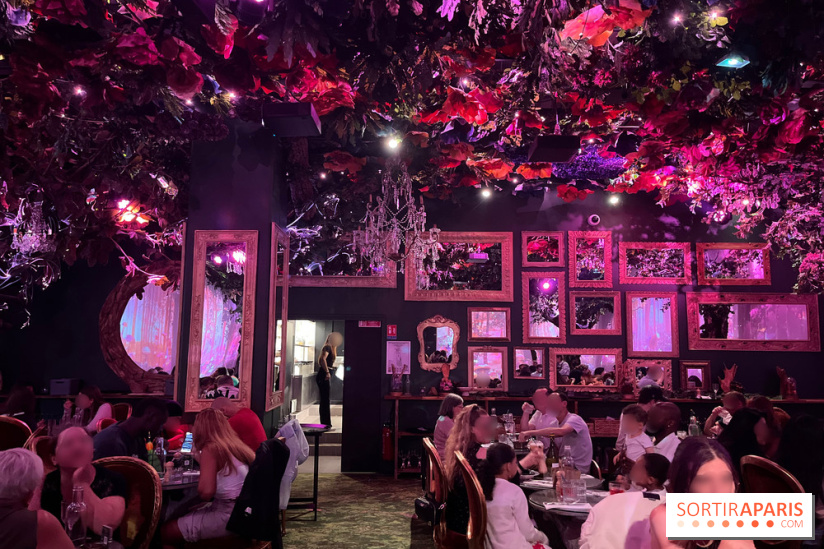 Wonderwoods - IMG 3816