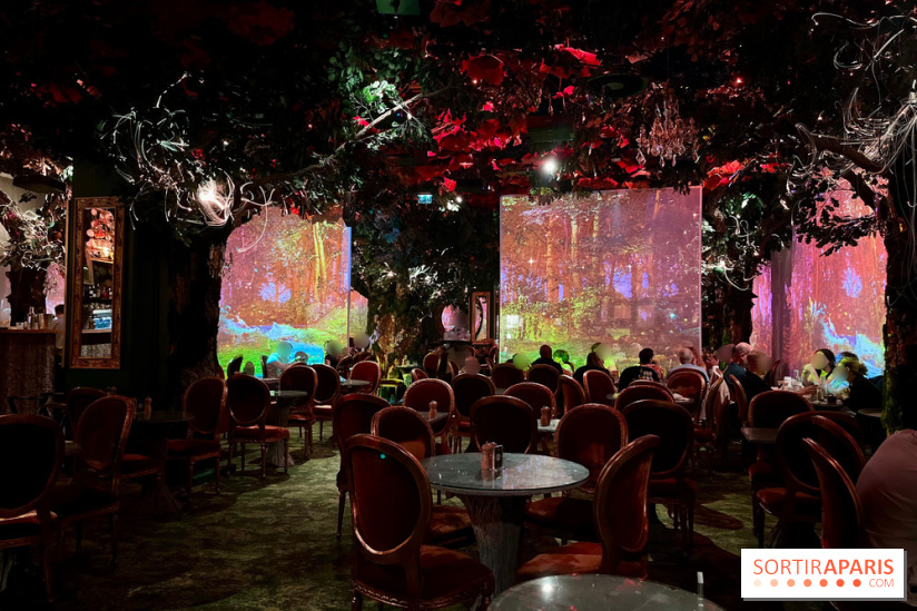 Wonderwoods