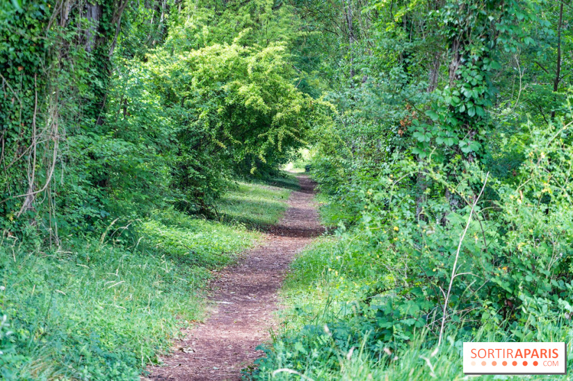 Le port de Valvins-les-Bains, les photos
