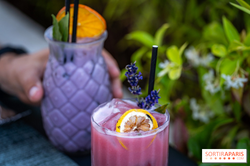 Le Domaine des Vanneaux MGallery - les photos - A7C04492