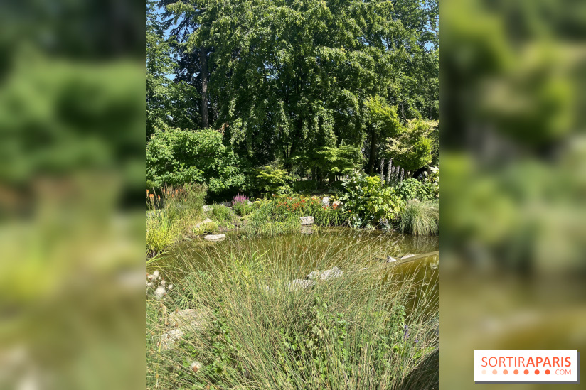 Parc de la Planchette - nos photos - 8F1FB1E6 D3DF 48F2 8746 E21BDA888FC5