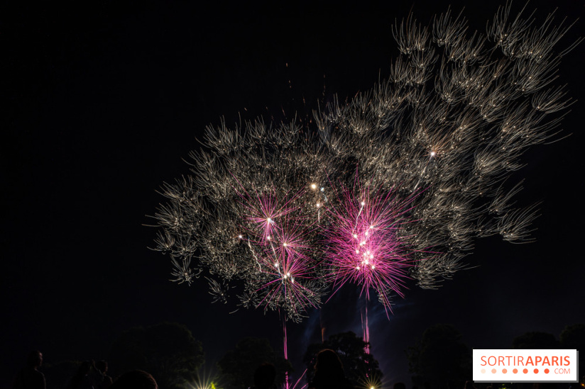 Visuels feux d'artifice  - A7C06101