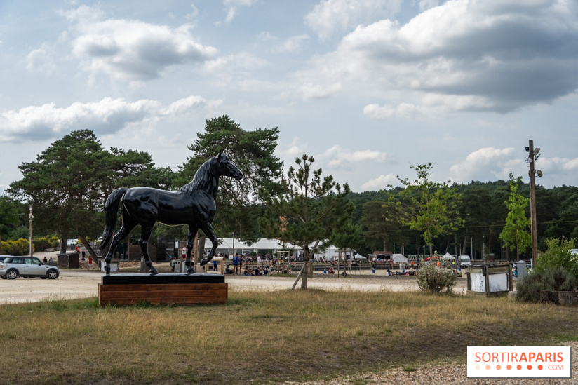 Le Grand Parquet Fontainebleau - photos  - A7C02547