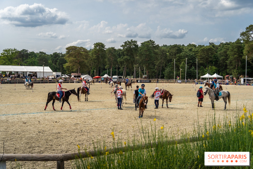 Le Grand Parquet Fontainebleau - photos  - A7C02552